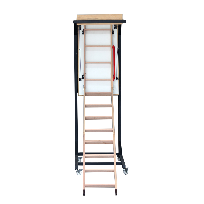 KAYIN ÇATI MERDİVENİ